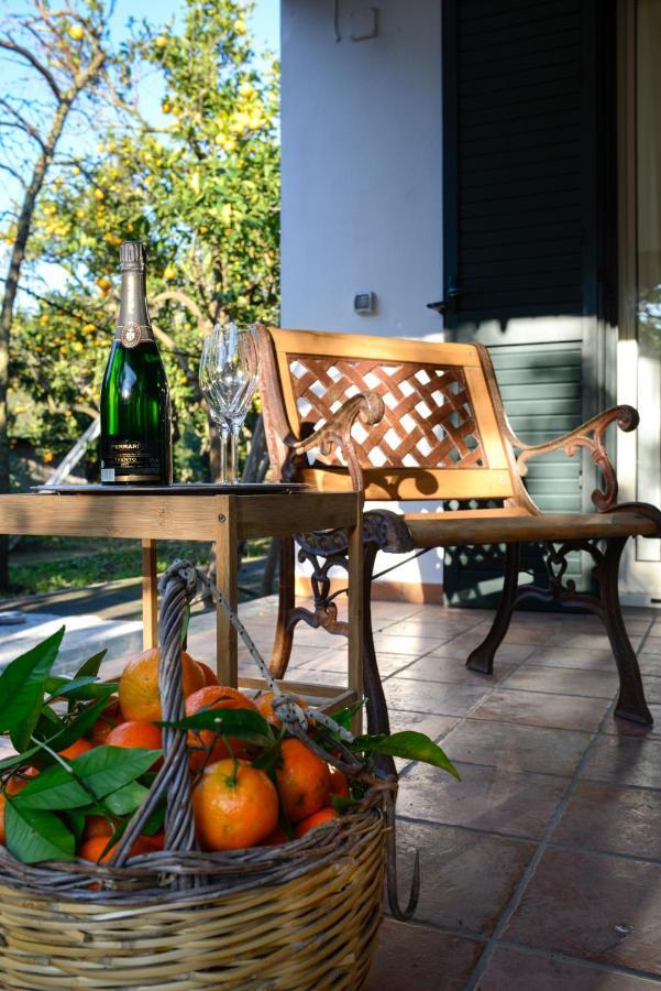 Agriturismo Piccolo Canyon Apartment Piano di Sorrento Bagian luar foto