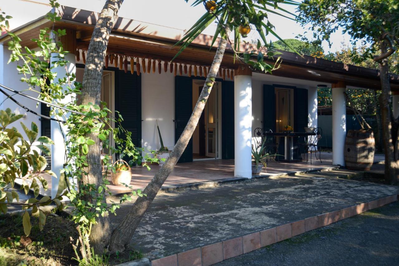 Agriturismo Piccolo Canyon Apartment Piano di Sorrento Bagian luar foto