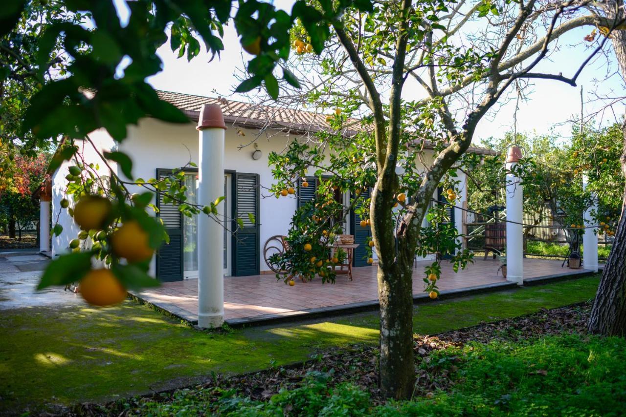 Agriturismo Piccolo Canyon Apartment Piano di Sorrento Bagian luar foto